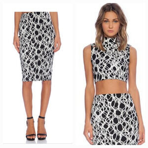 Elizabeth and James Aisling Pincel Skirt in Black & Ivory